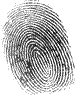 fingerprint-transparent-75x95